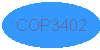  COP3402 Page 