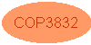  COP3832 Page 
