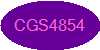  CGS4854 Page 